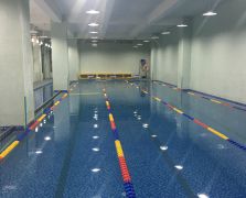 體育館泳池